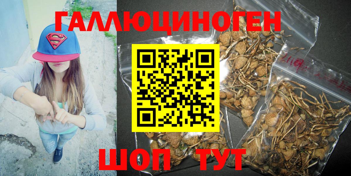 Батайск  Псилоцибиновые грибы Psilocybe  Вход с VPN 